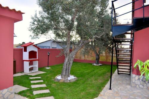Vacanze Sotto Le Stelle