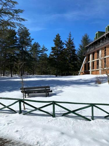 Apartamento La Tana Dell' Orso Bruno