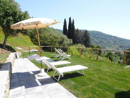 Tulipano -apartment-