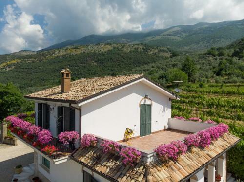Villa La Vigna Della Corte