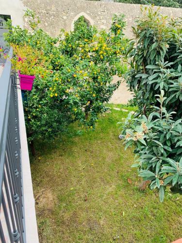 B&B Di Fiore