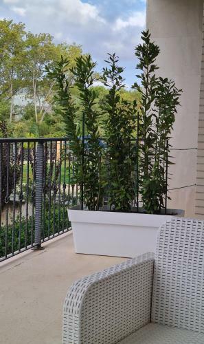 Bed & Breakfast Il Sorriso Di Angelina