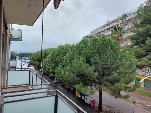 Lovely And Spacious Apartment In The City Centre