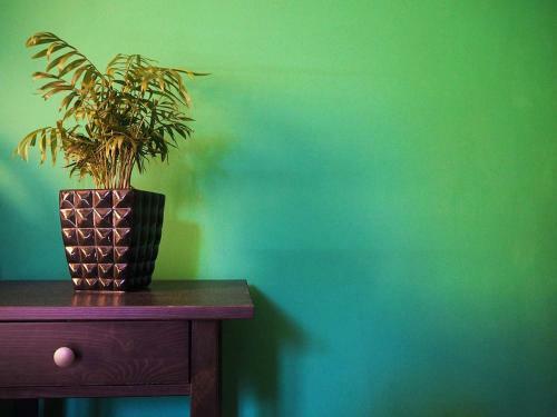 B&B Arco Etrusco