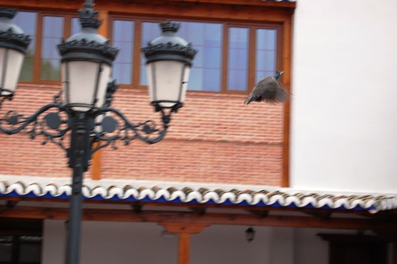 Hotel El Cortijo De Daimiel