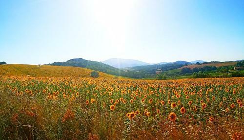 Apartamento Casa Con Vista Spettacolare Su Assisi