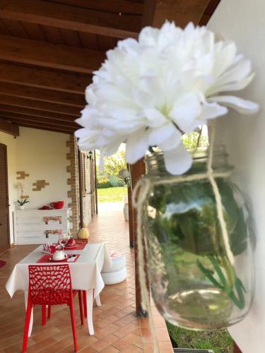 Bed & Breakfast A Casa Di Mamma Rosy