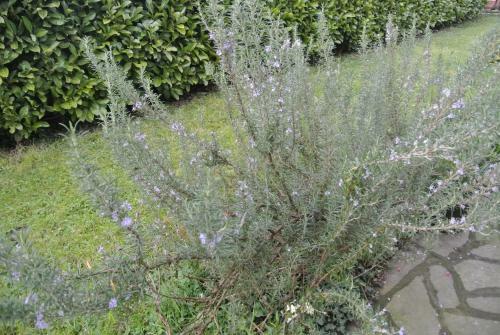 B&B La Damigiana Fio�