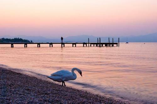 Hostal Garda Relais Luna Blu
