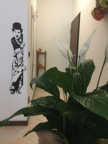 Apartamento Crystal's House