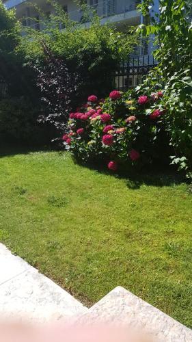 Apartamento Appartamento Modenese 8