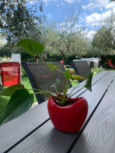Villa Lori Apartments