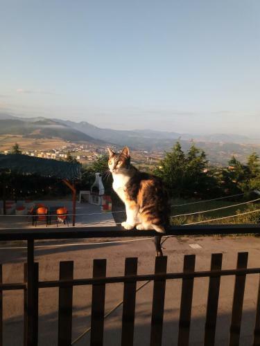 Agroturismo Sotto Li Foj