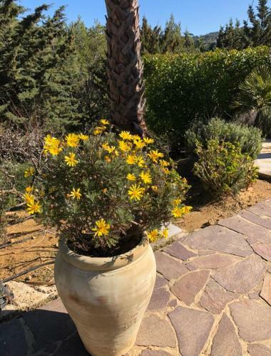 B&B Villa Bentivoglio