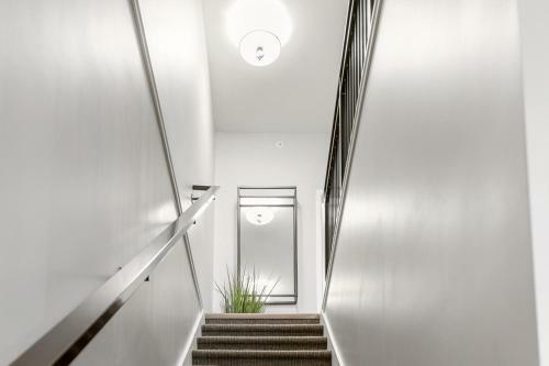 The Evelyn Suite 202