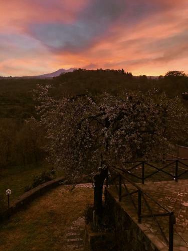 Mandorlo Dell'etna, Casa Siciliana