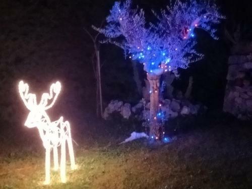 B&B Il Giardino Di Eolo