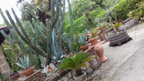 B&B Il Giardino Di Eolo