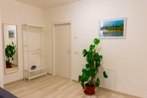 Apartamento Casa Vacanza Fiume