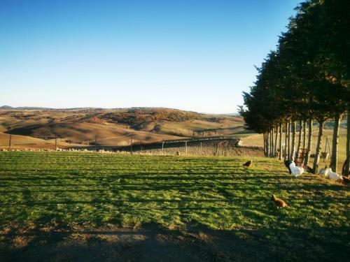 Apartamento Podere Poggio Salto