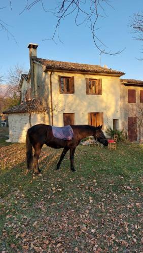 La Caneveta Al Piave