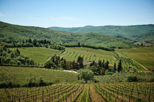 Apartamento Casa Iris Panzano In Chianti