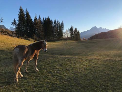 Apartamento Orizzonti Montani
