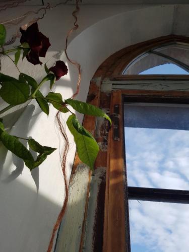 Hostal La Torre Di Pieve