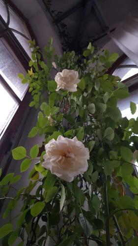 Hostal La Torre Di Pieve
