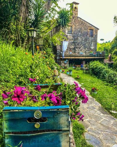 B&B Antico Frantoio Pietrasanta