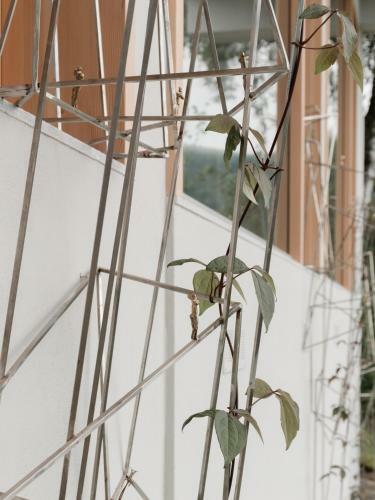 Larium Bed & Breakfast - Pigra
