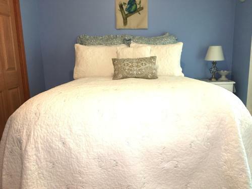 Adult Blue Room