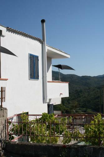 Pioppi House