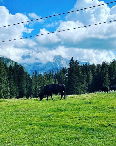Apartamento Dolomiti House