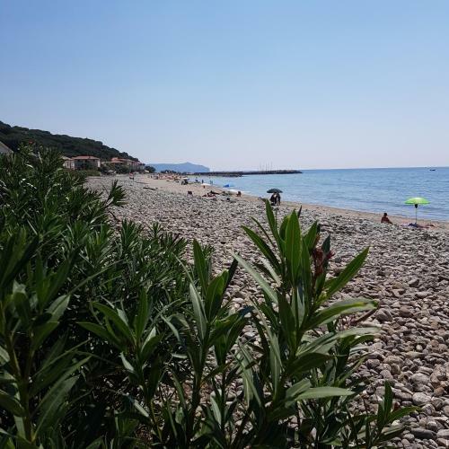 Apartamento Petra Marina Suite
