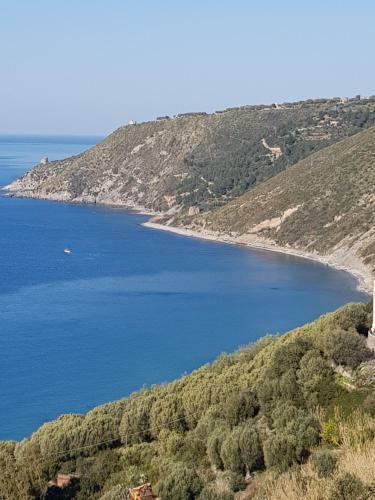Apartamento Petra Marina Suite