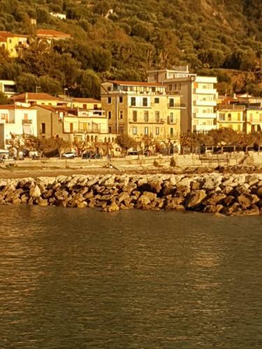 Petra Marina Aurora