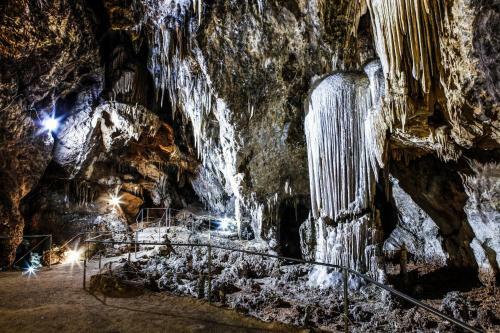 Hostal S'olivariu Village Affittacamere