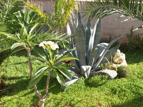 Hostal Guesthouse Anchise 38