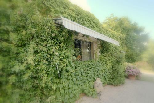 Apartamento Podere Casanova