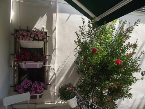 Apartamento Appartamento La Casina