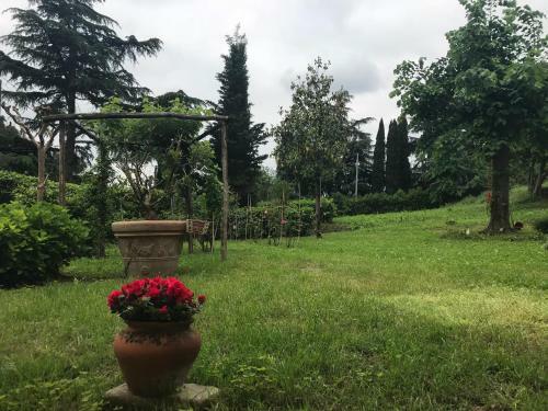 La Maroneta
