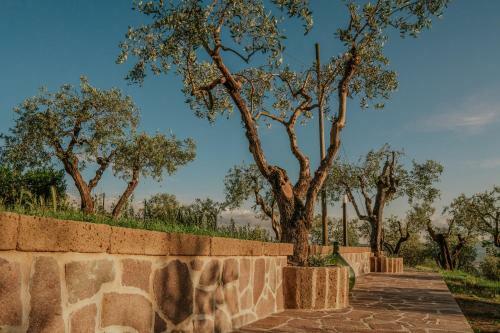 L'otello B&B