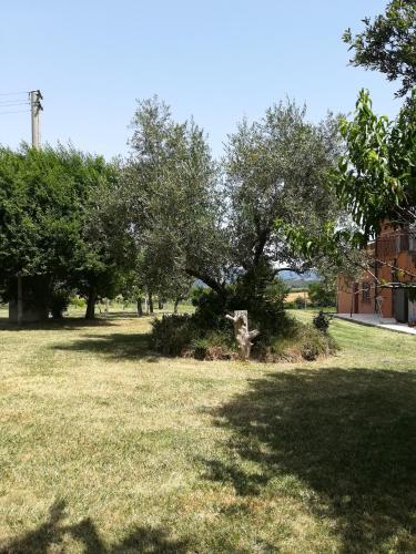 Hostal Agrifa'