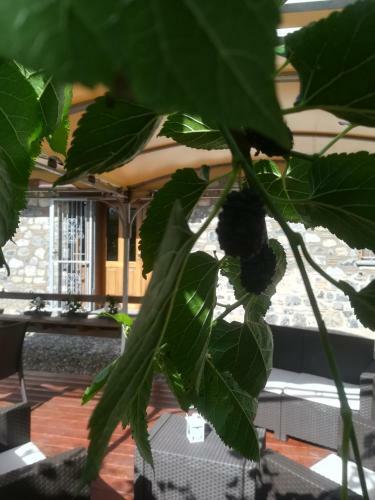 Bed & Breakfast I Suoni Di Valle Martina