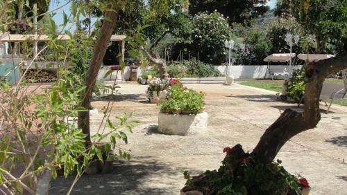 Bed & Breakfast Villa Primaluce