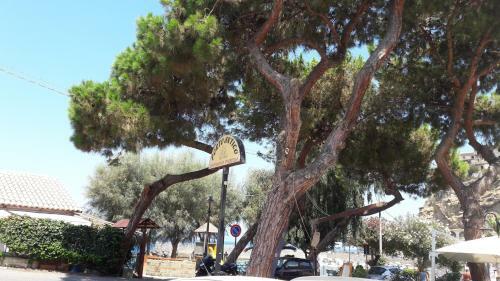 Apartamento Appartamento Larghetto Licastro