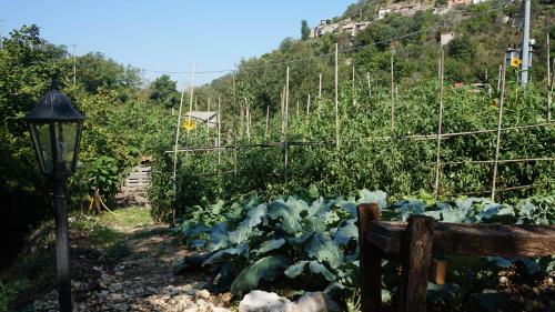 La Locanda Del Frullo