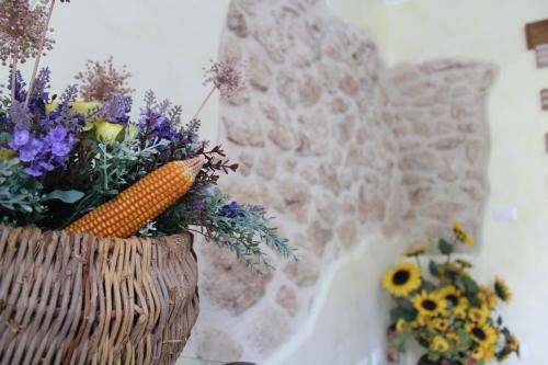 Apartamento Casa San Giacomo