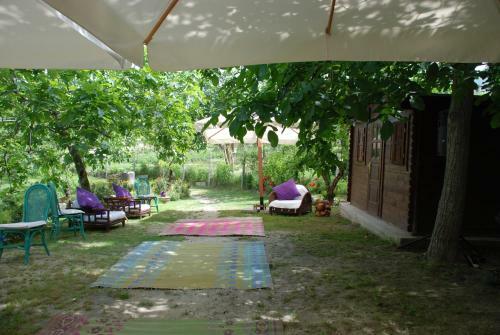 Bed & Breakfast Casale Druida